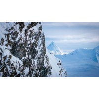 Coldfear LLC logo - Similar company to Rusty Fox Media