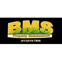 BMS Property Maintenance LLC logo - Similar company to Twelve Points Business Advisors
