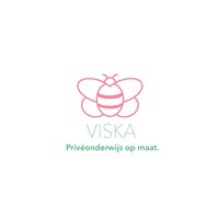 Viska Onderwijs logo - Similar company to Delimiet