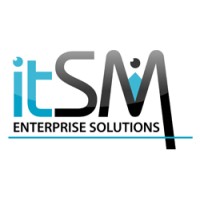 ITSM Enterprise Solutions logo - Similar company to Brt Ltda