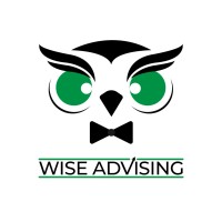 Wise Advising logo - Similar company to Net Wise Solutions