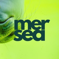 Mersea Strategy LLC logo - Similar company to The Capitalist Hippie Podcast