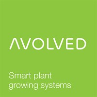 Avolved