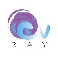 RayCV.com logo - Similar company to Mits Designs