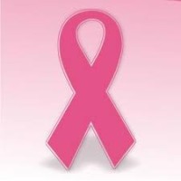 Pink Ribbon logo - Similar company to Bvn - Borstkankervereniging Nederland