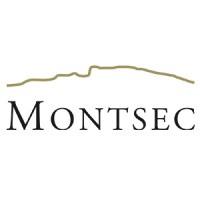 Montsec Participaciones logo - Similar company to Top Proyectos & Contratas