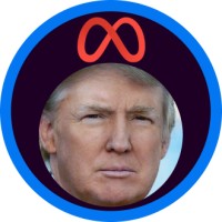 Trump logo - Similar company to Trumpit - Your Trump In It Solutions