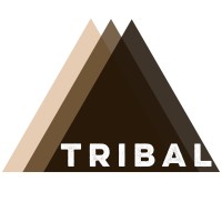 TRIBAL in Education logo - Similar company to Ccm Education Group