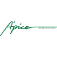Ápice Assessoria Preventiva
