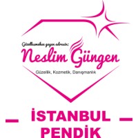 Neslim Güngen Pendik logo - Similar company to Pendik Lisesi