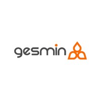 Gesmin logo - Similar company to Dimensoft