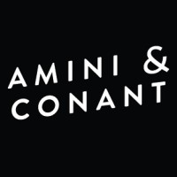 Amini & Conant logo - Similar company to Howson & Howson Llp
