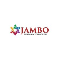 Jambo Tanzania Volunteers logo - Similar company to Digicash Llc