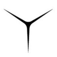 Yllo logo - Similar company to Yomii.App