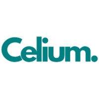 Celium. logo - Similar company to Guild Audits
