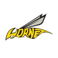 Hornet logo - Similar company to Vivid Imagination Inc.