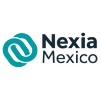Nexia Mexico logo - Similar company to Yemango