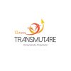 Transmutare Treinamentos logo - Similar company to Ares Ambiental