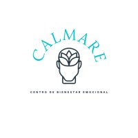 Calmare logo - Similar company to Icd America, Llc