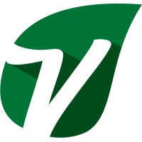 Vine Technology Solutions logo - Similar company to Vine Technologies Limited