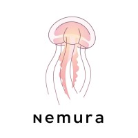 Nemura logo - Similar company to Ztech Solutions | Grupo Zm S.A