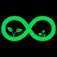 Infinity Green Game Studio logo - Similar company to Infinity Starlight Studios