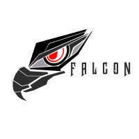 Team Falcon logo - Similar company to Hasstech