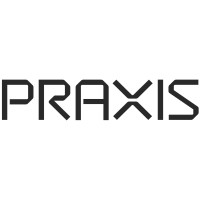 Praxis Systems logo - Similar company to Diptek