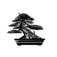 Bonsai Society Of Portland