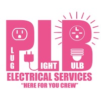 Plug Light Bulb Electrical Services logo - Similar company to Csl Technology Solutions