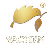 Linyi Yachen Wood Industry Co., Ltd. logo - Similar company to Camelply - Linyi Camel Plywood Co., Ltd
