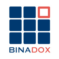 Binadox, Inc. logo - Similar company to Windrivertool