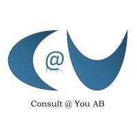 Consult at You AB logo - Similar company to Sweg Consult