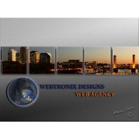 Webtronix Designs Web Agency logo - Similar company to Effect Web Agency