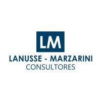 LM CONSULTORES logo - Similar company to Acceleanation