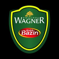 Cycling Team Wagner-Bazin WB logo - Similar company to Hive X