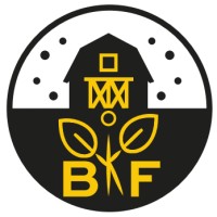 BKF next logo - Similar company to Group Sleurs