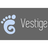 Vestige logo - Similar company to Dynamicly