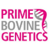 Prime Bovine Genetics Pvt Ltd