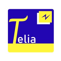 GROUPE TELIA logo - Similar company to Limashop