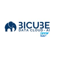 BICUBE Cloud AI logo - Similar company to Convert Rocks