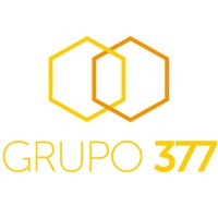 GRUPO 377 - Soluções em Serviços TOTVS | Canal Homologado logo - Similar company to Teho Conecta - Canal Homologado Totvs