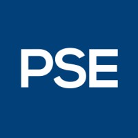 PSE Associates logo - Similar company to S & C Interior Systems Ltd