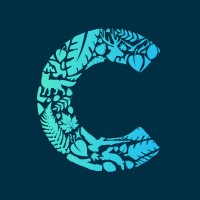 Callirius AG logo - Similar company to Metricsat
