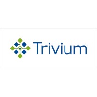 Trivium eSolutions logo - Similar company to Webknot Technologies