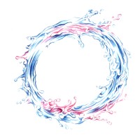 Valore Comune Srl SB logo - Similar company to Finest Grape Tech