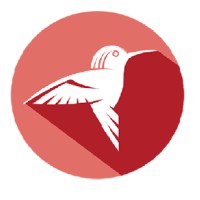 RedBird studio | always be outstanding logo - Similar company to Bluum.Tv