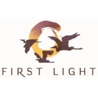 First Light Multi Manager Management Company logo - Similar company to Learn2Lead