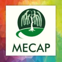 Middle East Centre on Ageing Population (MECAP) logo - Similar company to Institute Of Health Economics- University Of Dhaka