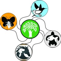 The Four Legs Charitable Trust logo - Similar company to Development Support Center